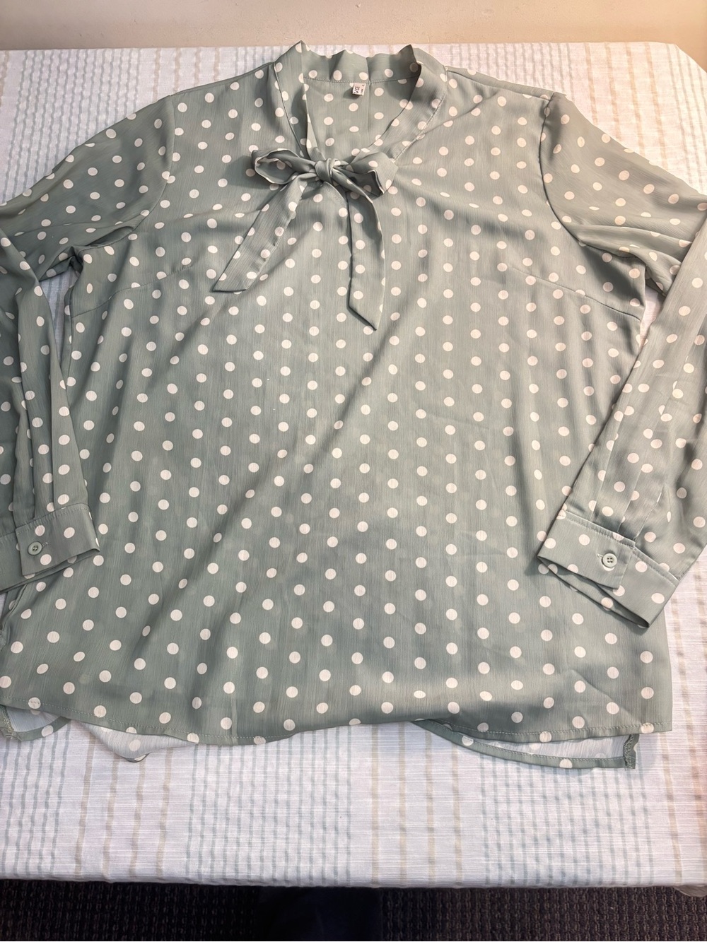 Polka Dot Tie-Neck Blouse in Sage Green
